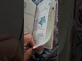 cozy flip through of February in my Hobonichi Weeks #weeklyplanning #plannerlayout