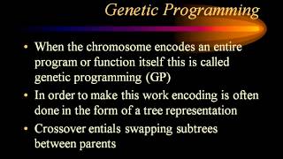 Genetics and Programming PPT Presentation