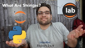 Getting Started With The Basics Of Strings In Python |Wolfy the A.I.Canine