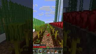 Farming 15 stacks of Melons | Day 15|365