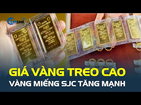 Giá vàng hôm nay 28/3 TREO CAO, vàng miếng SJC tăng mạnh 