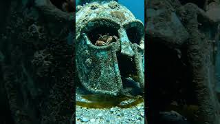 the deep arena