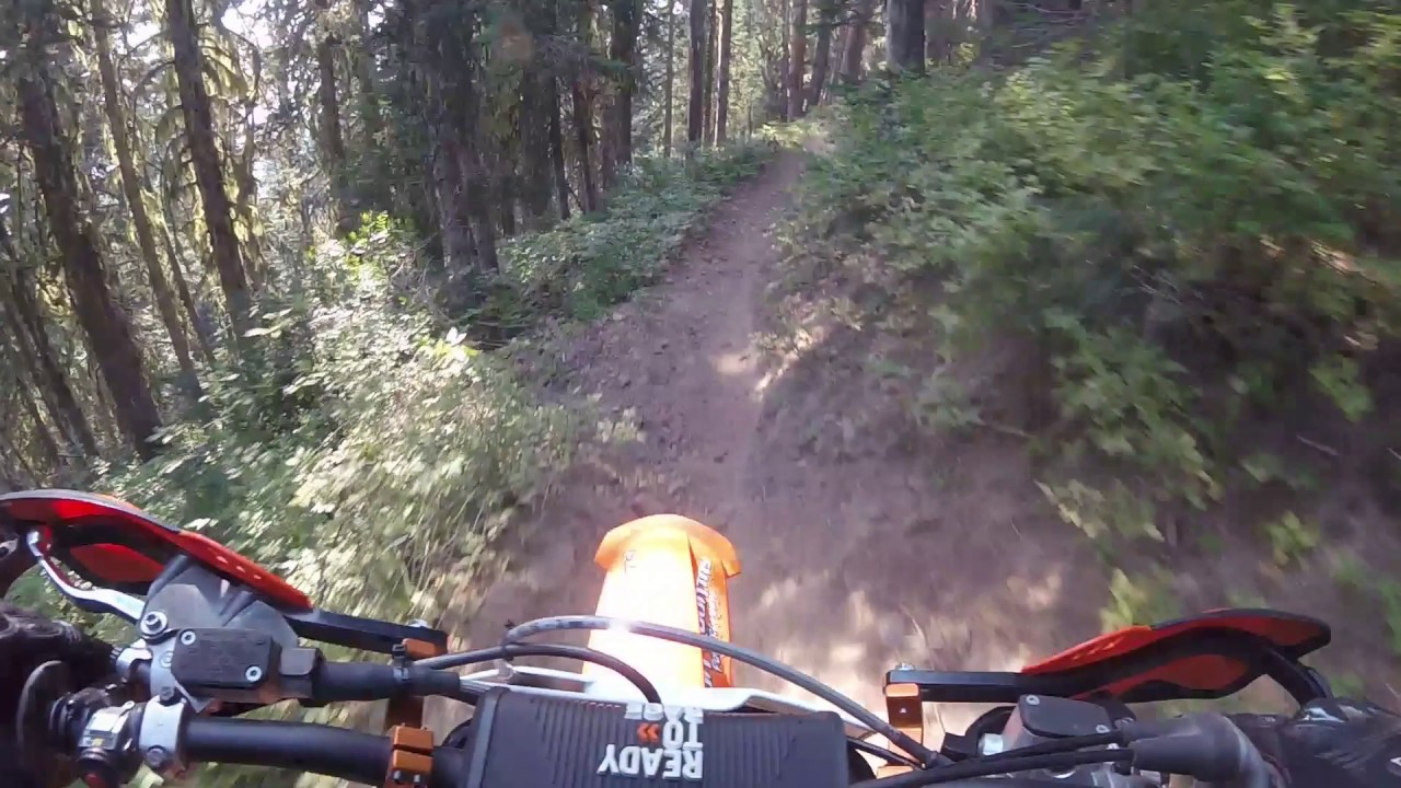 Council Lake WA - #1 Boundary Trail (Single Track)