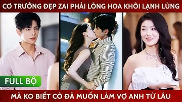 Cơ trưởng đẹp trai phải lòng hoa khôi lạnh lùng mà ko biết cô đã muốn làm vợ anh từ lâu
