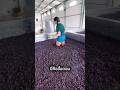 วิธีหมักองุ่นแบบดั้งเดิมเมื่อ 1,000 ปีก่อน