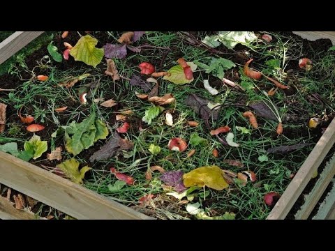 Effectiveness of Microbial