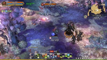 Tree Of Savior Game Play 20180518 01 43 54 660