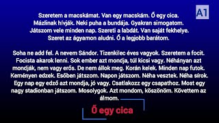 Slow Reading in Hungarian-A1- (HU/EN subtitles)  –  Ő egy cica screenshot 5
