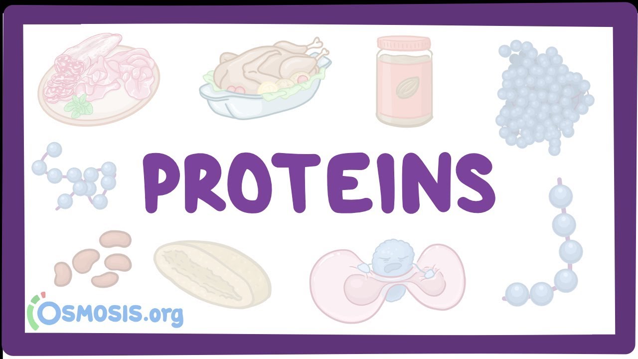 Quick and easy animated pictures of proteins