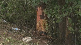 Rock Hill students killed in crash