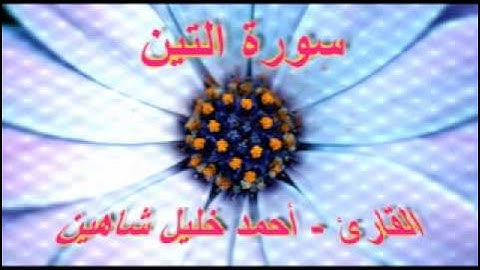 أحمد خليل شاهين - سورة التين