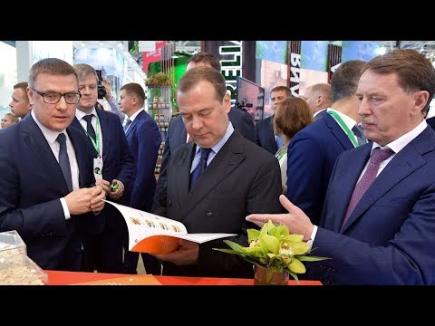 Выставка  «Золотая осень»