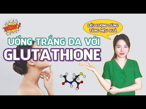 glutathione assay kit gsh GSH+GSSG / GSH Assay Kit (Colorimetric) (ab239709)