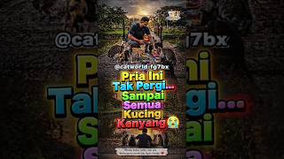 This Man Wont Leave... Until All The Cats Are Full