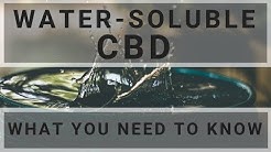 Water Soluble CBD! What you need to know...