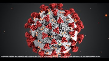 Sparks Foundation GRIP Data Science & Business Analytics Internship | Task 8 | Solution #gripjan21