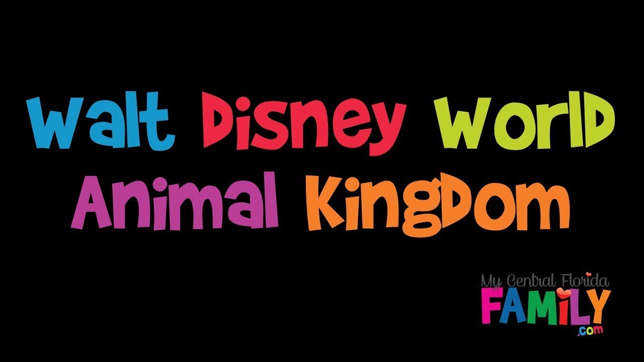 Animal Kingdom Family Video Review - YouTube