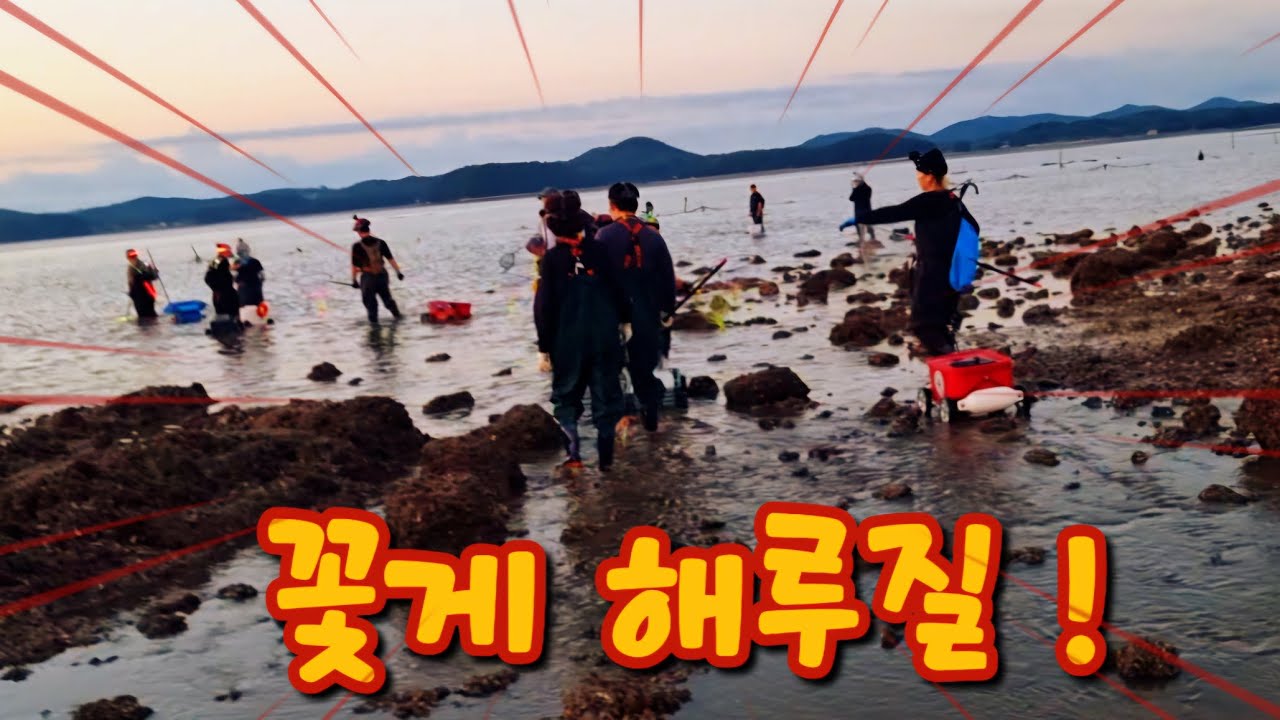 10월 15일 시장표 꽃게 해루질 많은 인파 과연 얼마나 잡았을까요? 