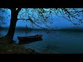 Rainy Evening At The Lake Bled | Rain & Distant Thunder Sounds for Relaxation | 10 Hours