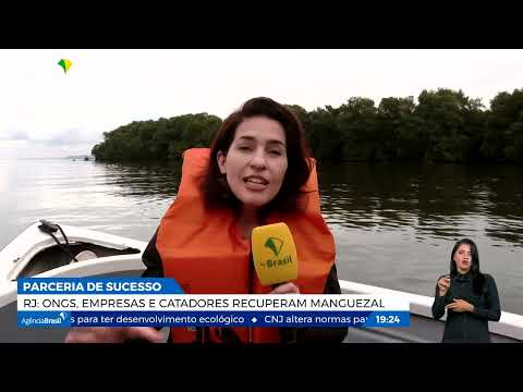 Projeto devolve vida a área de manguezal ameaçada no Rio de Janeiro