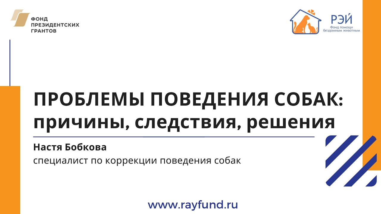 причины копрофагии у собак причины копрофагии у собак