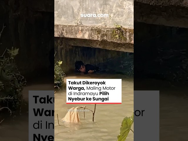 Thumbnail YouTube