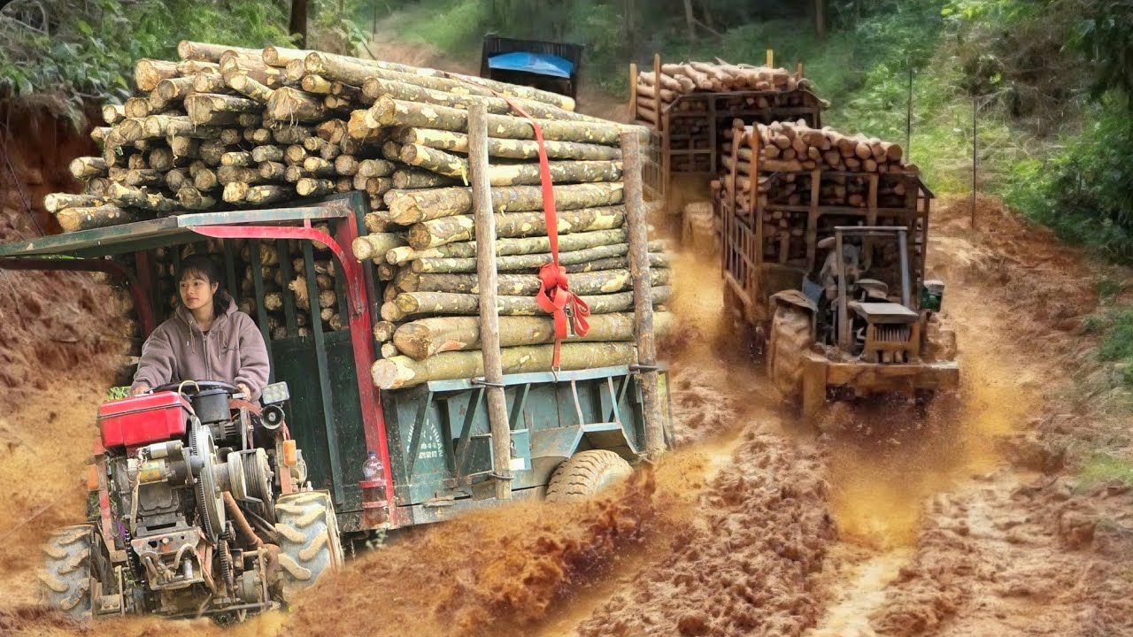 Agricultural vehicle, girl transporting wood navigates dangerous muddy roads 