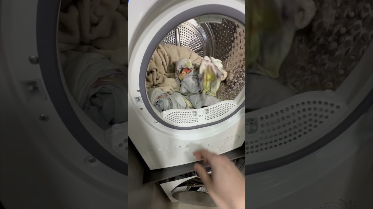 Сколько пыли остается в вещах после стиральной машины?! Обзор сушилки Dexp часть  2