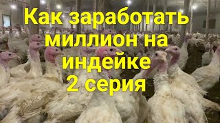 Как заработать миллион на индейке// В гости на семейную ферму к чете Сухацких 2 серия