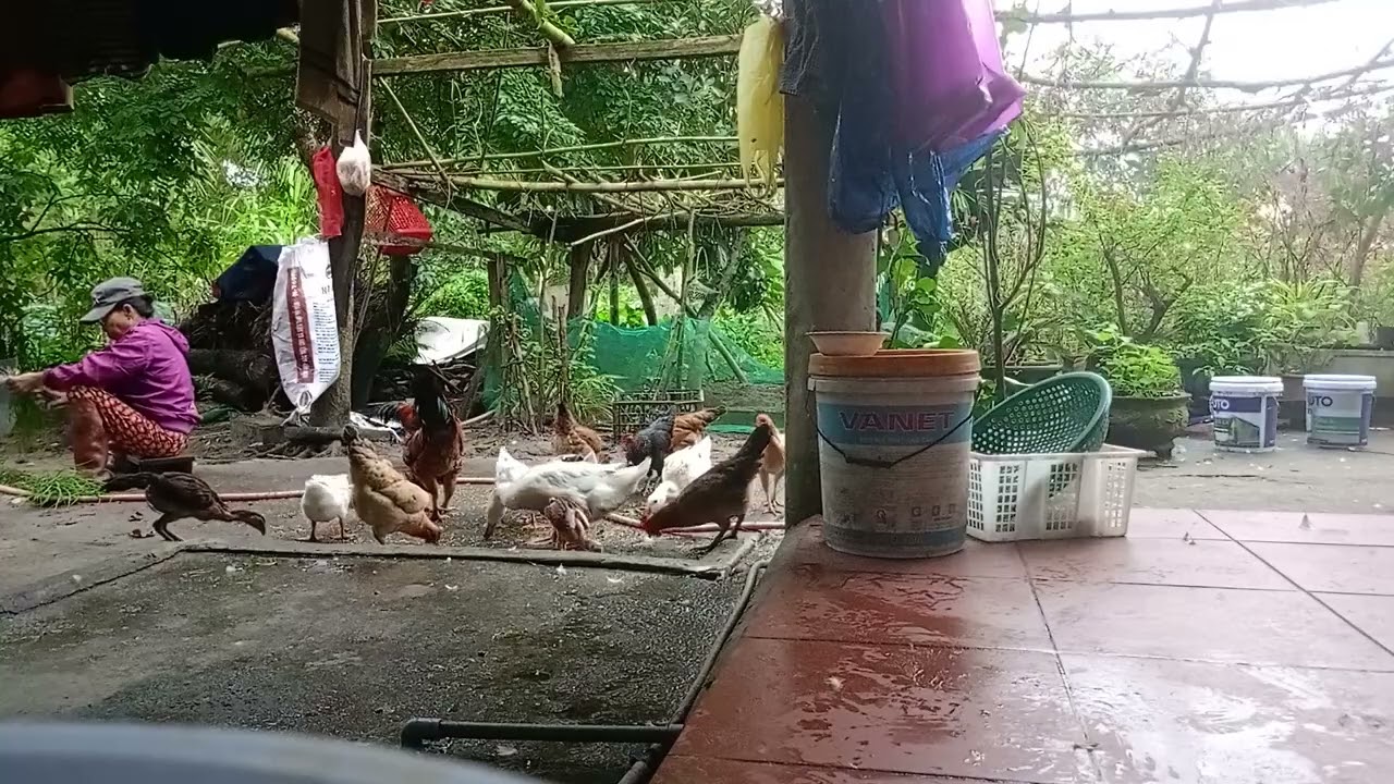 The Beauty of Nature Capturing Rural Landscapes