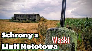 SCHRONY z LINII MOŁOTOWA | Waśki