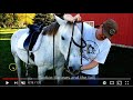A Good Little Video On A Horse's Behavior With A Bit & Without A Bit