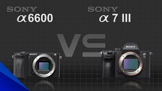 Sony Alpha A6600 Vs Sony Alpha A7 Iii