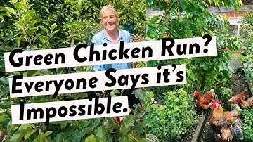I Grew a Food Forest Inside My Chicken Run — Here’s How to Protect the Plants from Chickens