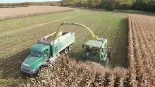 Corn Silage R Simmentals Jason LeBlanc Farm