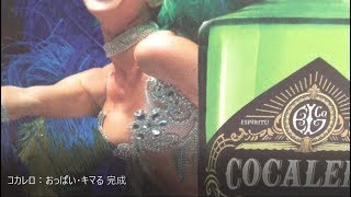 お酒通販 コカレロ キマる 本当？ Cocalero