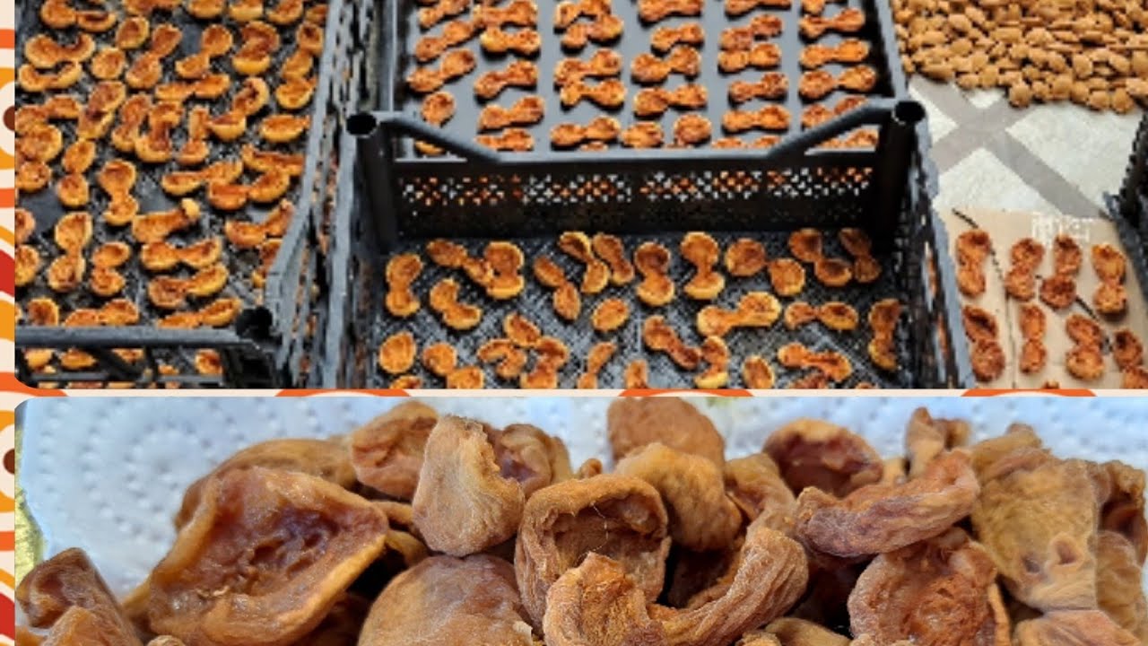 Əriyin asan yolla qurudulmasl👍🌹