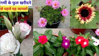 April-May में छत को सजाए इन फूलों वाले पौधों से || Best Summer Flowering Plants In India