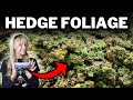 Make Your Own ULTRA Realistic Hedge Foliage/Coarse Turf...From Scratch!