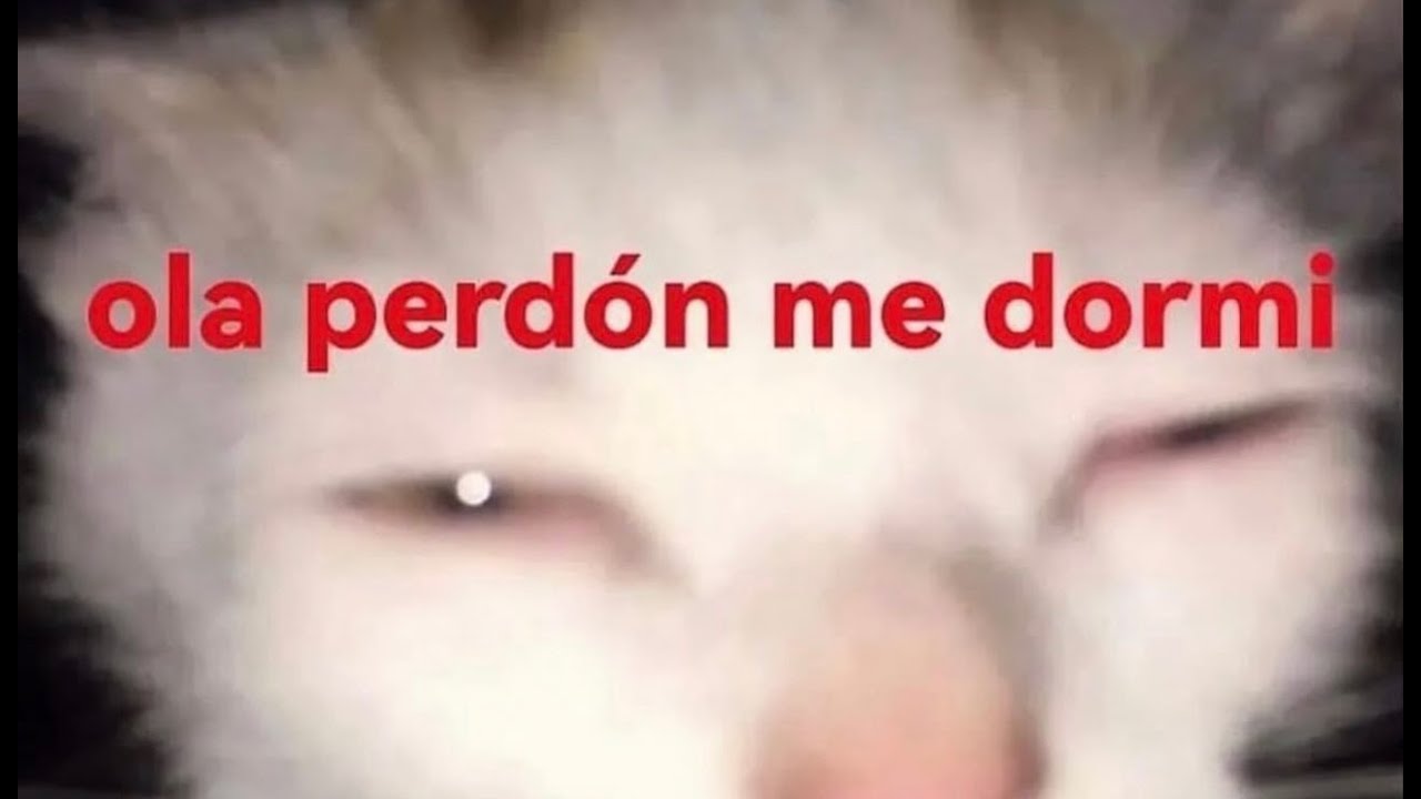 fortress first, shit trades, buen blind, unlucky unlucky