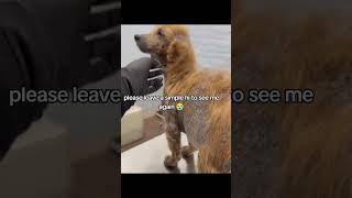 - "Help them heal"- "Support the vulnerable"- "Donate today"link in bio#canada #newyork