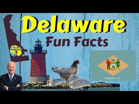 Video: Pentru ce este faimos delaware-ul?