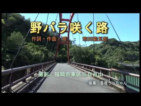 野バラ咲く路（市川染五郎）