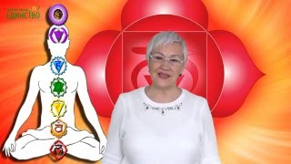 День 16. Чакра Муладхара : корневой энергетический центр День 16. Чакра Муладхара : корневой энергетический центр