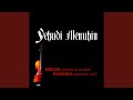Miniature de la vidéo de la chanson Violin Concerto In D Minor, Op. 47: Ii. Adagio Di Molto
