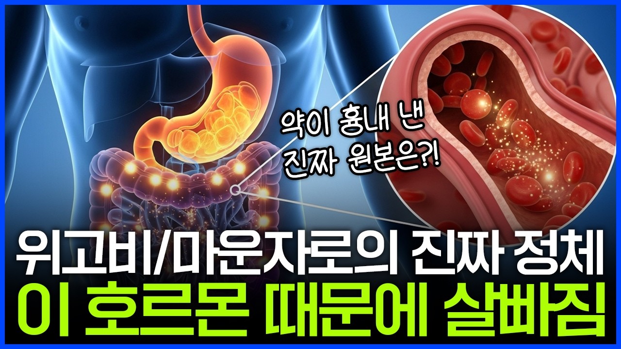 GLP-1이 뭐길래...