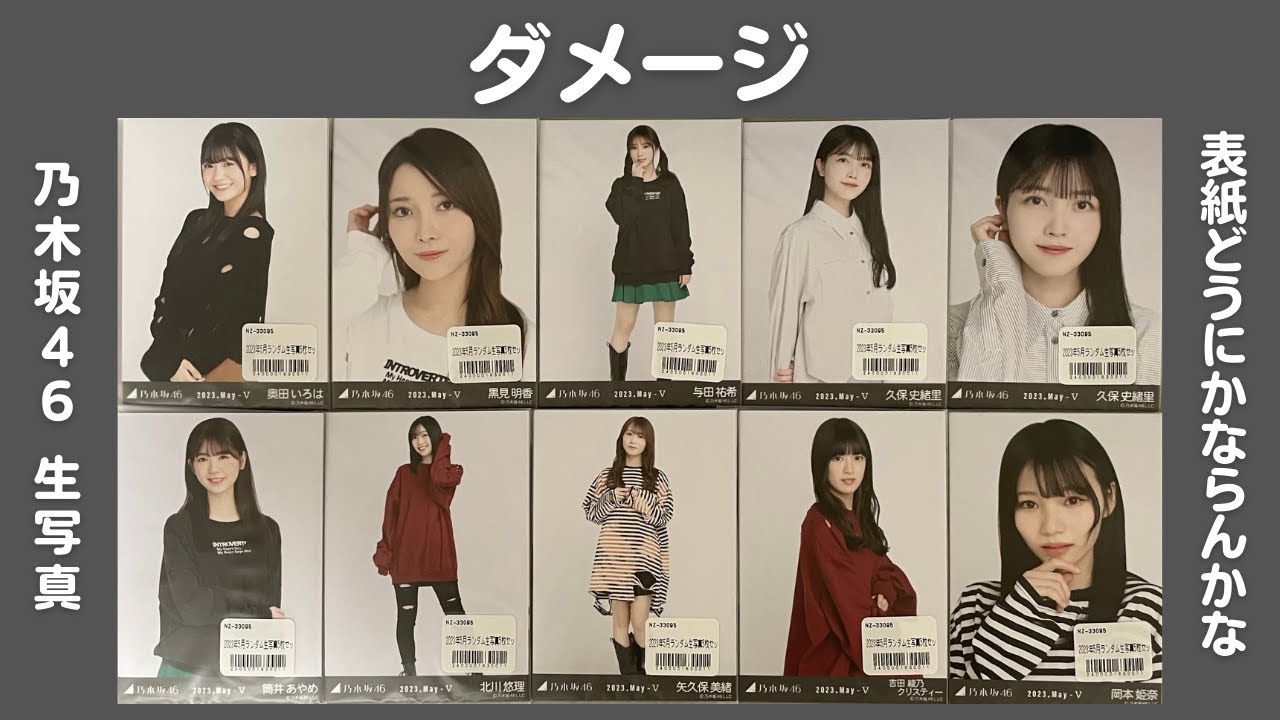 乃木坂46 干支 干 戌 生写真 10 