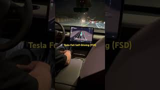 Tesla Full Self-Driving (FSD)