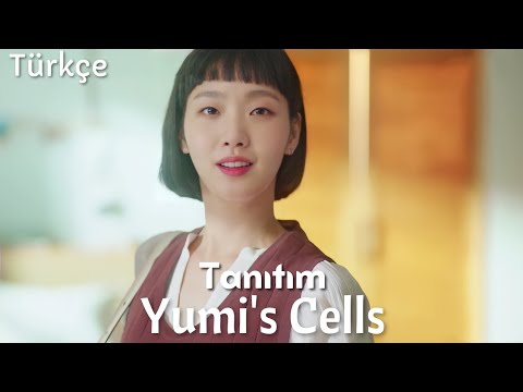 Yumi's Cells Tanıtım Türkçe Altyazılı | Güncel Kore Dizi