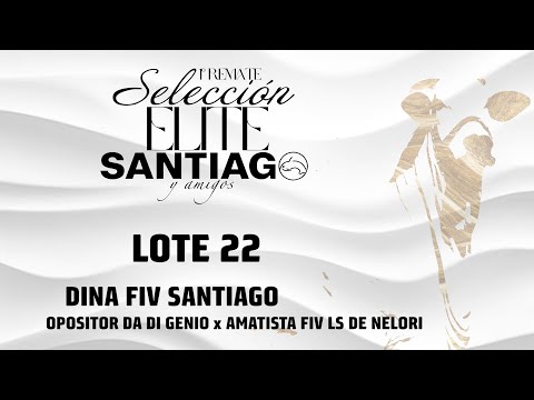 Lote 22   Dina FIV Santiago